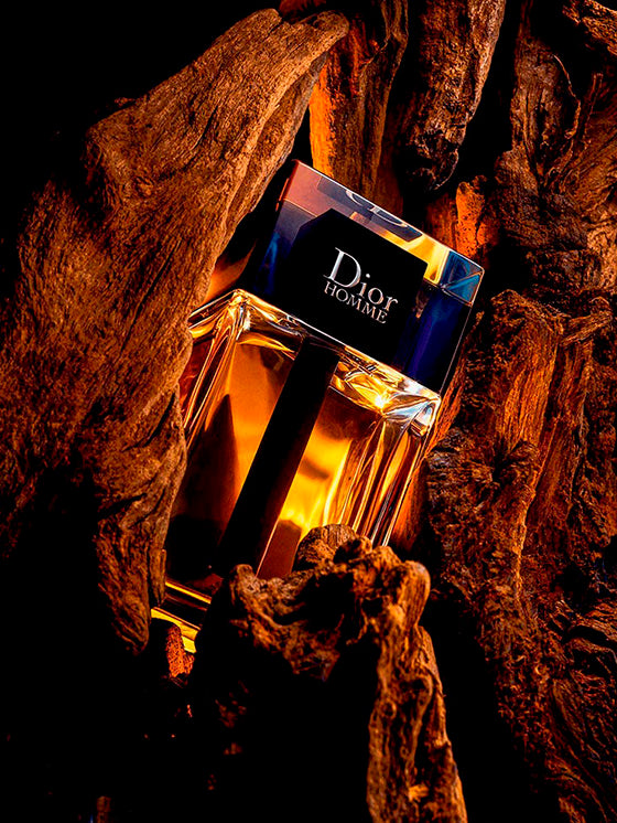Dior Homme Eau de Toilette 100 ml