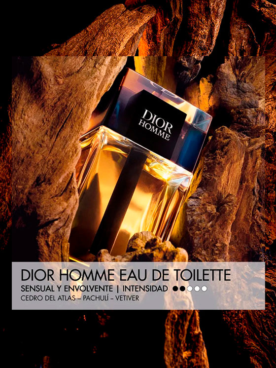 Dior Homme Eau de Toilette 100 ml