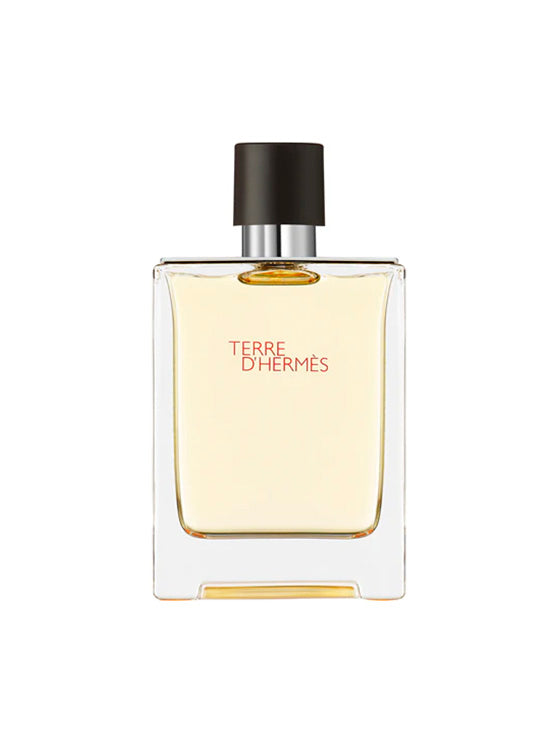 Hermès Terre d'Hermès Eau de Toilette 100 ml