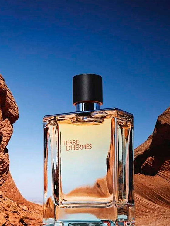 Hermès Terre d'Hermès Eau de Toilette 100 ml