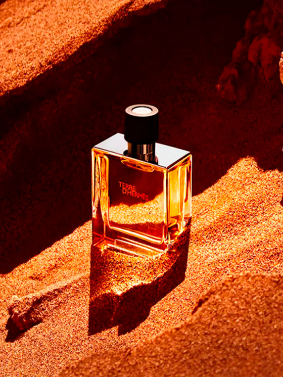 Hermès Terre d'Hermès Eau de Toilette 100 ml