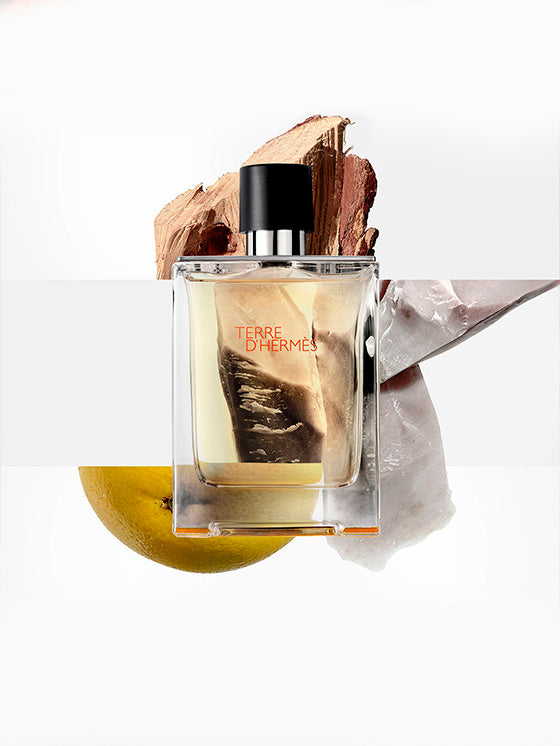 Hermès Terre d'Hermès Eau de Toilette 100 ml
